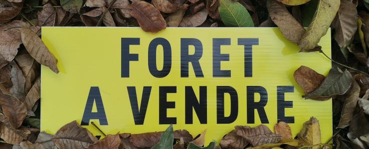 Vendre sa forêt chez Forêt Investissement