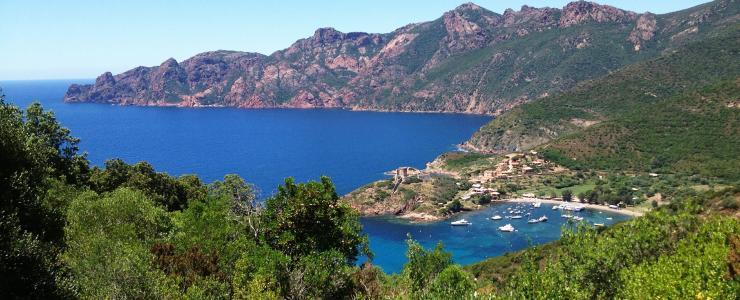 Corsica – Outstanding forests