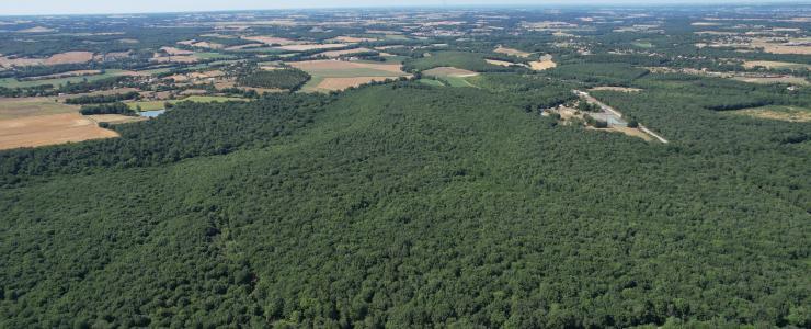 Propriété Forestière aux portes de Toulouse