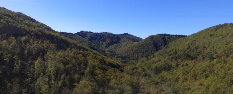 Forest estate in Aude