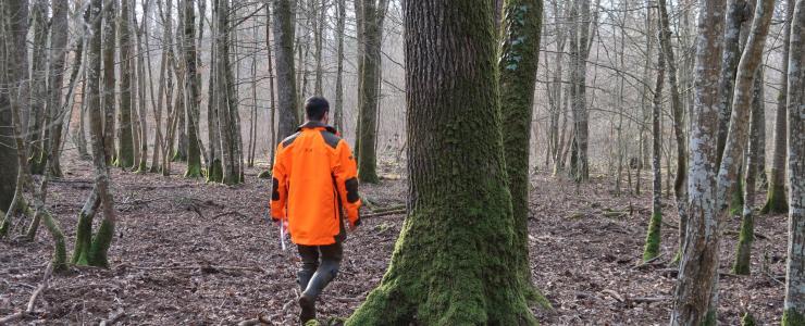 Rétrospective 2020 des ventes du cabinet Forêt Investissement