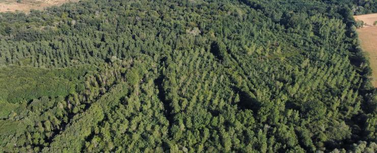 Domaine agricole et forestier proche de Clermont-Ferrand